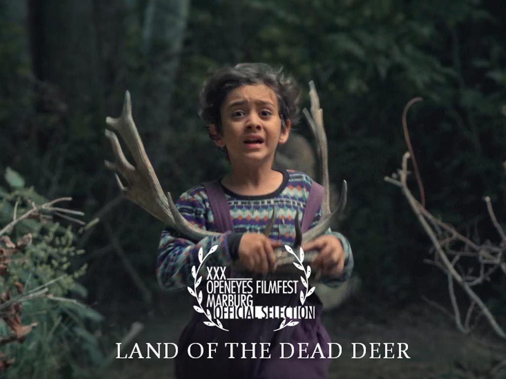 LAND OF THE DEAD DEER At a prestigious international festivals